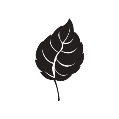 icon leaf drawing in colour black, representing the nature inspired learner
