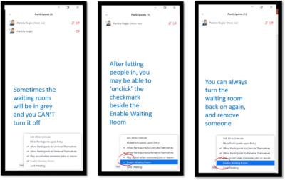 3 participants panel showing waiting room options