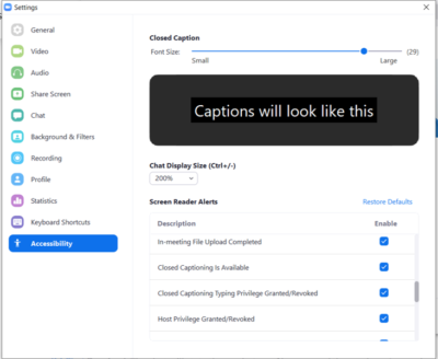 Zoom app accessibility settings