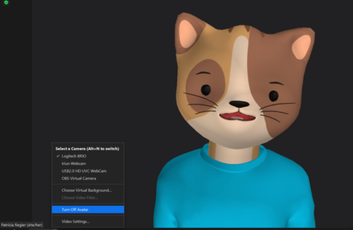Zoom cat avatar and turn off option in menu