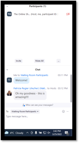 zoom waiting room messages