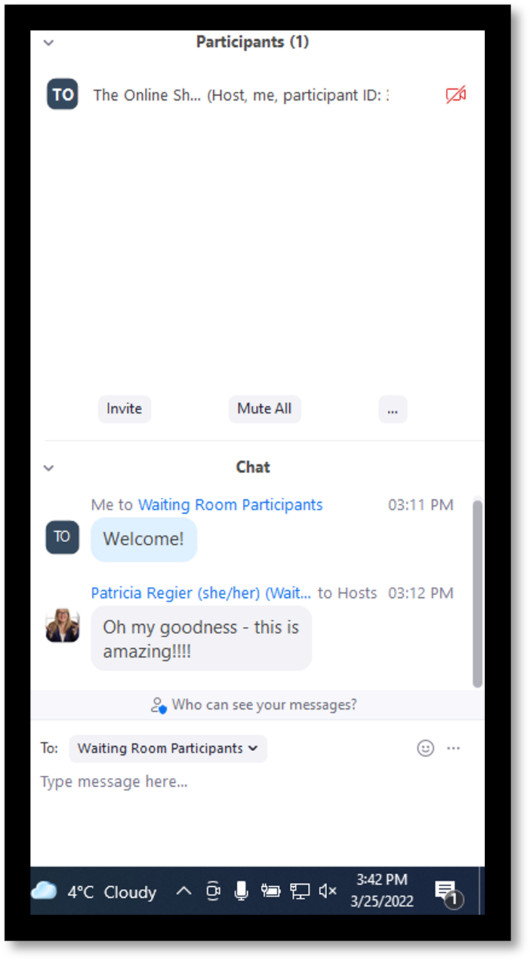 ZOOM'S NEW WAITING ROOM VIDEO Regier Education Inc.