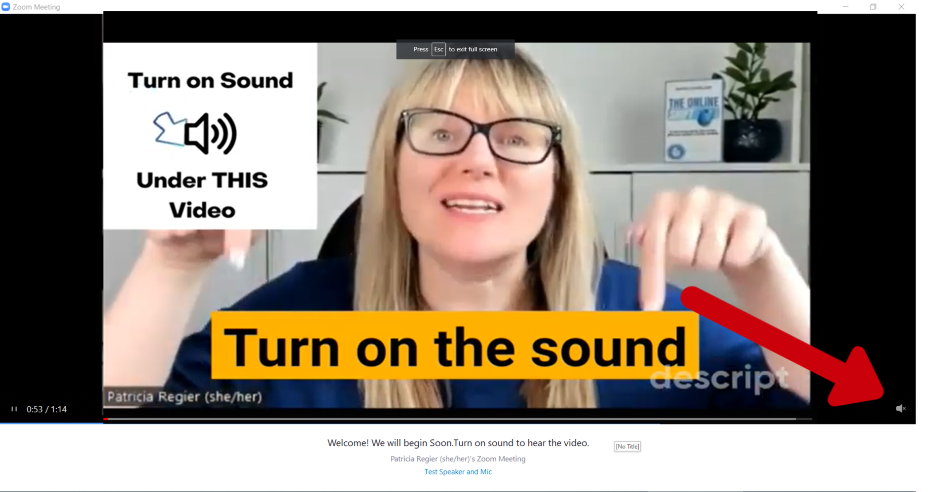 ZOOM'S NEW WAITING ROOM VIDEO Regier Education Inc.