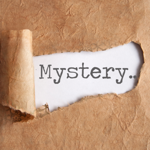 adventure in learning with a mystery choice