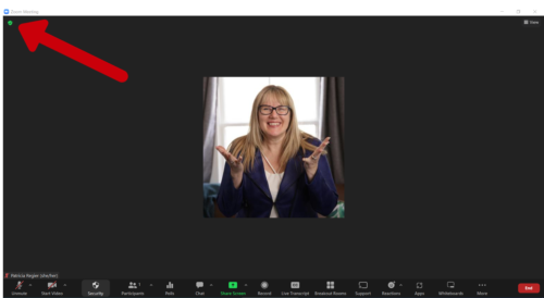 Red arrow pointing to green shield in Zoom, top left corner