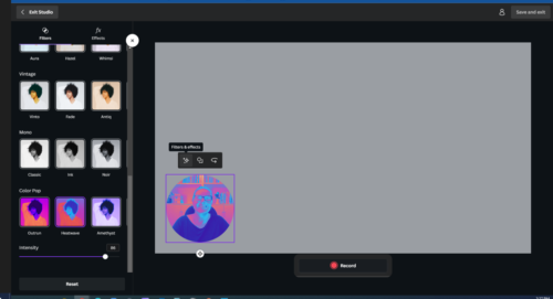 Canva Recording Filters