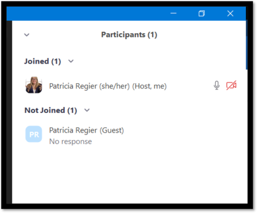 attendance panel in Zoom