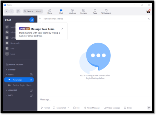 chat with your team in zoom new