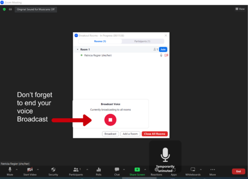 Zoom broadcast voice hold space bar down and click on the broadcast voice symbol