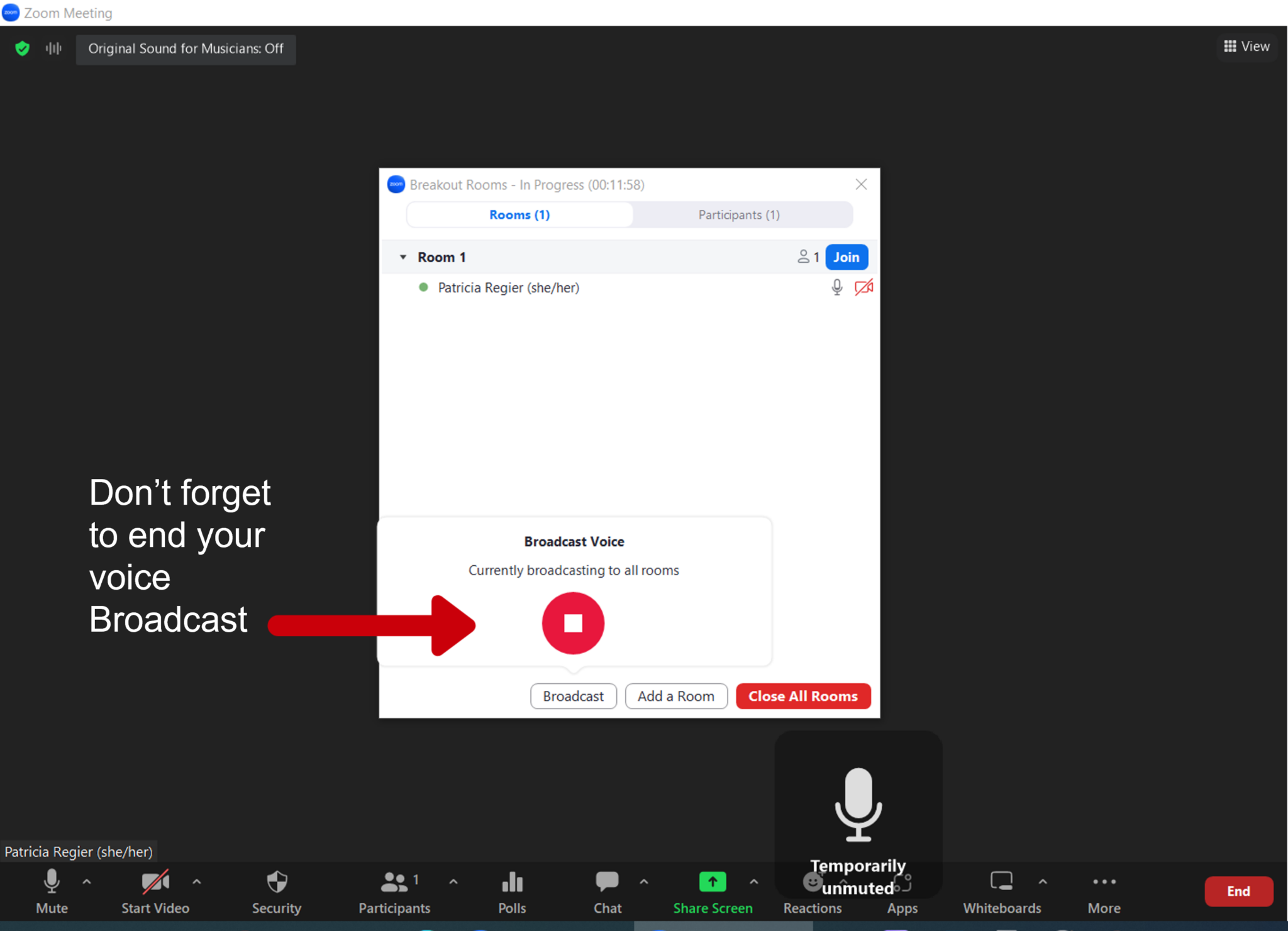 BROADCAST VOICE TO ZOOM BREAKOUTS Regier Education Inc.