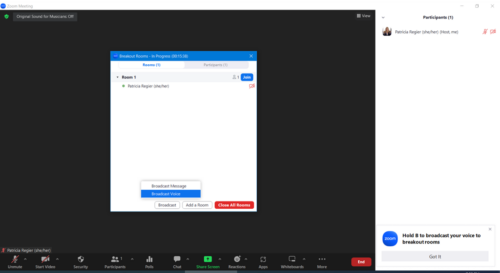 New zoom broadcast voice into breakout rooms